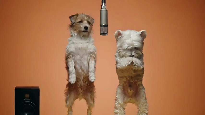 Pet Rap